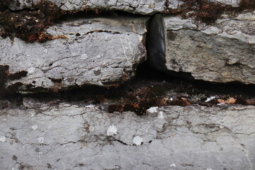 Gray stone blocks with soil and plants.

