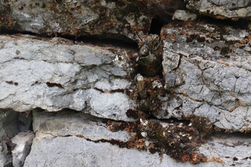 Gray stone blocks with soil and plants.

