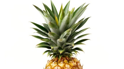 High-resolution pineapple with vibrant green leaves, isolated against a clean background, providing space for advertising copy or branding