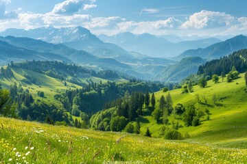 Fototapeta premium Serene alpine mountain scenery with verdant meadows blooming in spring and summer