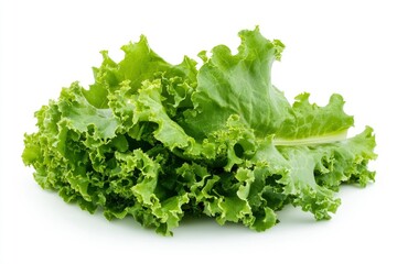 salad, lettuce leaf, isolated on white background, full depth of field, ai