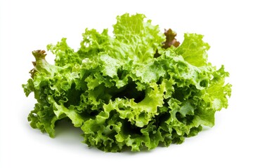 salad, lettuce leaf, isolated on white background, full depth of field, ai