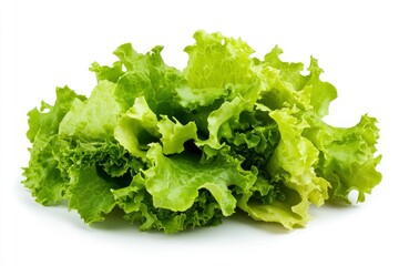 salad, lettuce leaf, isolated on white background, full depth of field, ai