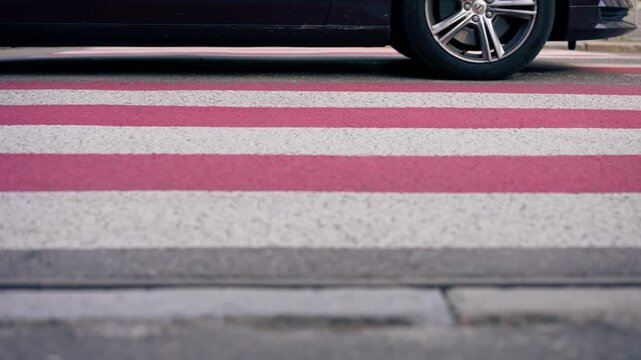on road pedestrian crossing red and white stripes close-up of legs in white beauties crossing the road safe movement