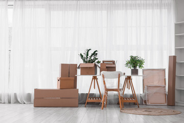 Furniture, houseplants and cardboard boxes with belongings in new apartment. Moving house concept