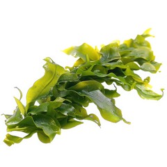 Obraz premium Fresh green seaweed isolated on white background, perfect for culinary, health, and marine-themed designs.