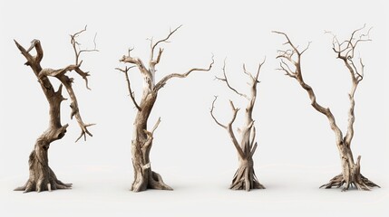 Four trees with no leaves, one is bent and the other three are straight