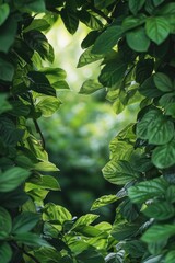 A natural heart-shaped hole in the leaves of a tree, perfect for various uses such as Valentine's Day or nature-inspired designs