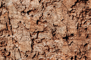 grunge  brown   concrete wall texture background