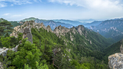 Panoramic and summer view of pine trees and rock cliff of Yongajangseong Ridge at Seoraksan National Park near Inje-gun, South Korea
