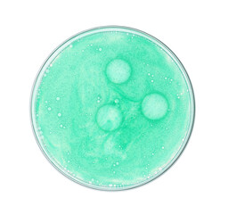 Petri dish with sample isolated on white, top view