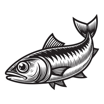 black and white fish drawing clip art preview
