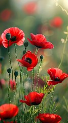 Obraz premium kwiaty