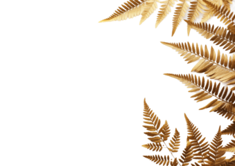 Golden Fern Leaves On Transparent Background