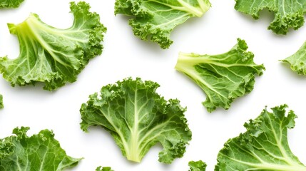 A close-up of kale slices, highlighting the frilled edges and moist freshness. The bright, leafy greens set against a white background