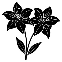 Amaryllis vector illustration, red lily flower vector art, Amaryllis silhouette, flowers vector icon, eps, red lily flowers, plant Amaryllis