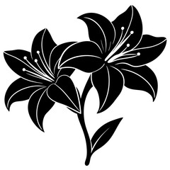 Amaryllis vector illustration, red lily flower vector art, Amaryllis silhouette, flowers vector icon, eps, red lily flowers, plant Amaryllis