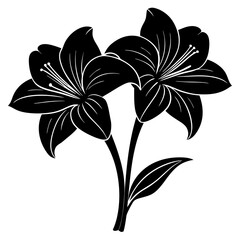 Amaryllis vector illustration, red lily flower vector art, Amaryllis silhouette, flowers vector icon, eps, red lily flowers, plant Amaryllis