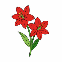 Amaryllis vector illustration, red lily flower vector art, Amaryllis silhouette, flowers vector icon, eps, red lily flowers, plant Amaryllis