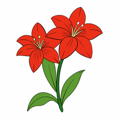 Amaryllis vector illustration, red lily flower vector art, Amaryllis silhouette, flowers vector icon, eps, red lily flowers, plant Amaryllis