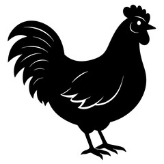 chicken isolated on white, chicken vector illustration, pet vector art, chicken silhouette, rooster  vector icon, eps, baby hen