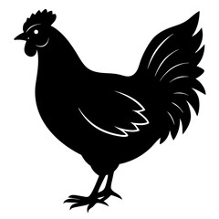 chicken isolated on white, chicken vector illustration, pet vector art, chicken silhouette, rooster  vector icon, eps, baby hen