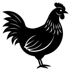 chicken isolated on white, chicken vector illustration, pet vector art, chicken silhouette, rooster  vector icon, eps, baby hen