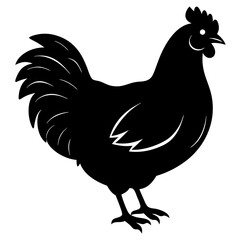 chicken isolated on white, chicken vector illustration, pet vector art, chicken silhouette, rooster  vector icon, eps, baby hen