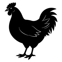 chicken isolated on white, chicken vector illustration, pet vector art, chicken silhouette, rooster  vector icon, eps, baby hen