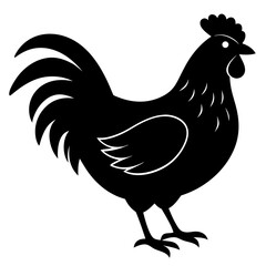 chicken isolated on white, chicken vector illustration, pet vector art, chicken silhouette, rooster  vector icon, eps, baby hen