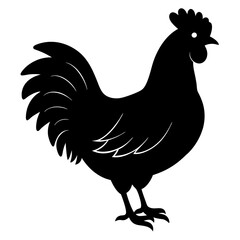 chicken isolated on white, chicken vector illustration, pet vector art, chicken silhouette, rooster  vector icon, eps, baby hen