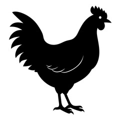 chicken isolated on white, chicken vector illustration, pet vector art, chicken silhouette, rooster  vector icon, eps, baby hen