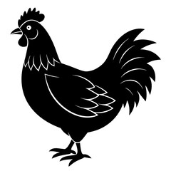 chicken isolated on white, chicken vector illustration, pet vector art, chicken silhouette, rooster  vector icon, eps, baby hen