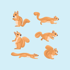 Orange Squirrel Simple Flat Vector Set