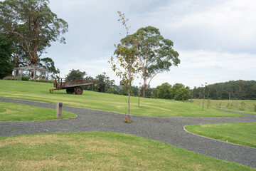 Tree on a green beautiful landscaped farmyard