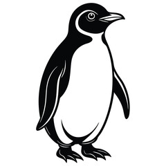 penguin on a white background silhouette vector illustration  © Zahid