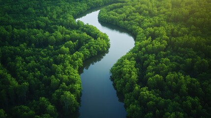 Fototapeta premium Aerial view of a winding river surrounded by lush green forests, showcasing the beauty of nature in a serene landscape.
