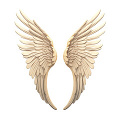 Fototapeta premium Pair Of Beige Angel Wings Spread Out On A White Background
