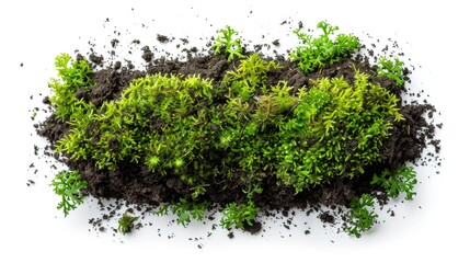 Obraz premium A pile of dirt surrounded by some green plants, perfect for environmental or nature-themed projects