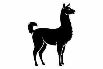 Black Alpaca Silhouette Vector, lama silhouette
