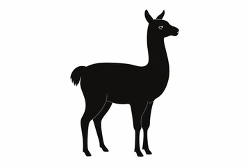 Black Alpaca Silhouette Vector, lama silhouette