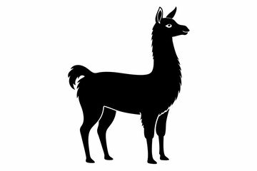 Black Alpaca Silhouette Vector, lama silhouette