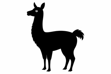 Black Alpaca Silhouette Vector, lama silhouette