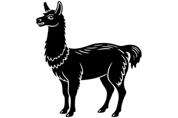 Black Alpaca Silhouette Vector, lama silhouette