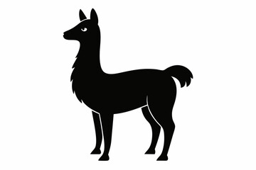 
Lama Silhouette,  Vector of lama standing side view black silhouette


