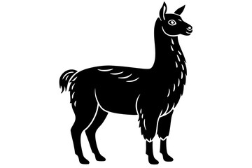 
Lama Silhouette,  Vector of lama standing side view black silhouette


