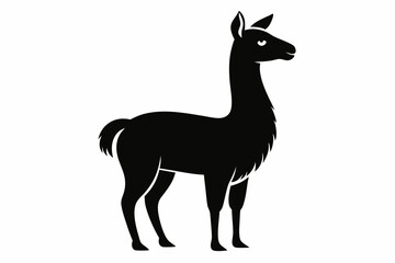 
Lama Silhouette,  Vector of lama standing side view black silhouette



