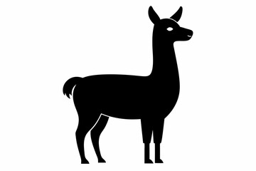 
Lama Silhouette,  Vector of lama standing side view black silhouette


