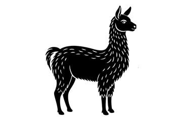 
Lama Silhouette,  Vector of lama standing side view black silhouette


