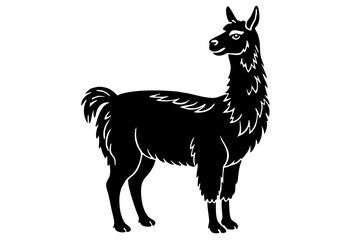  Lama Silhouette,  Vector of lama standing side view black silhouette    © Trendy CraftSVG 